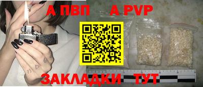 шишки Тверь