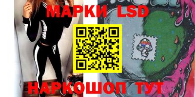 шишки Тверь