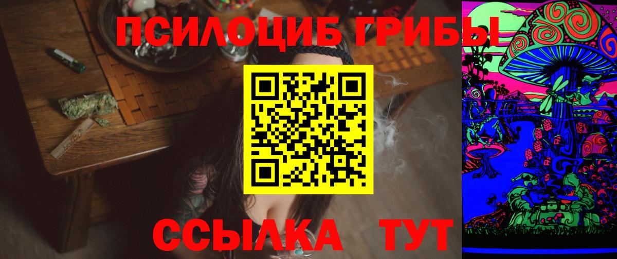 Псилоцибиновые грибы Psilocybe  Вход с VPN  Ачхой-Мартан 